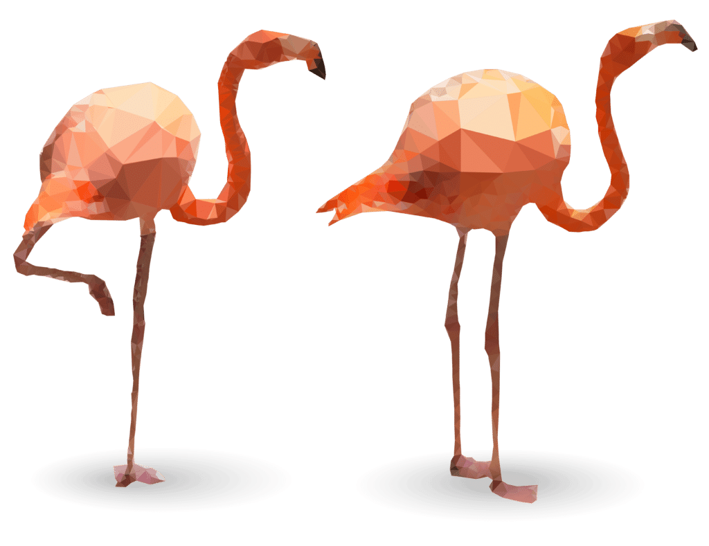 2 Flamingos - Optenhögel paper agencies